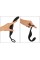 Black Velvets Cock ring with RC butt plug