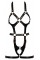 Портупея - 2493381 Bad Kitty Harness