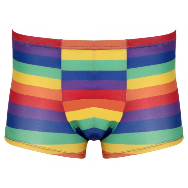 Чоловічі трусики - 2133164 Svenjoyment Mens Boxer Briefs Rainbow