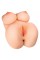 PDX Plus EZ Bang Torso Light
