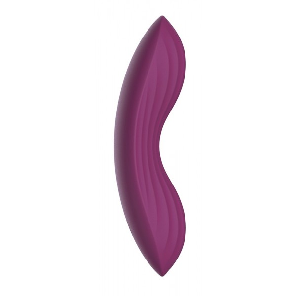 Edeny Auflegevibrator