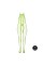 Бодістокінг - Ouch! Bodystocking With Halterneck Green, XL/4XL