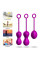 Набор вагинальных шариков - Kegel Balls Set