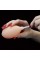 Фалоімітатор - Soft Ejaculation Cock With Ball 8"